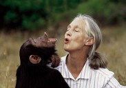 Muere Jane Goodall, premio Príncipe de Asturias en 2003