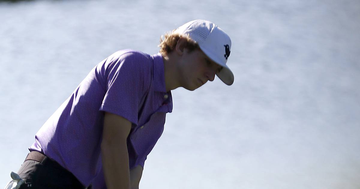 Hampshire’s Nolan Adamczyk places top 10 in first and last state tourney: Northwest Herald state golf roundup