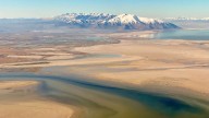 Global conservation nonprofit partners with USU conservation institute with $100K investment