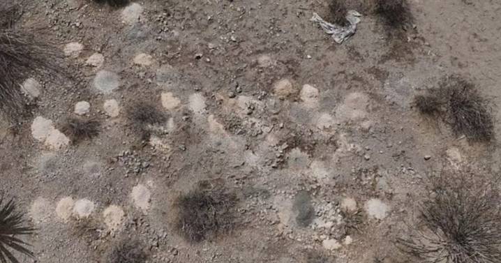 Las Vegas horror as 300 piles of human remains found abandoned in desert