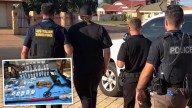 Crime 
                                            Premium
                                          Flamethrower, homemade shotgun seized in major crackdown