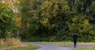 Prolonged warm weather delays peak fall colors across Illinois