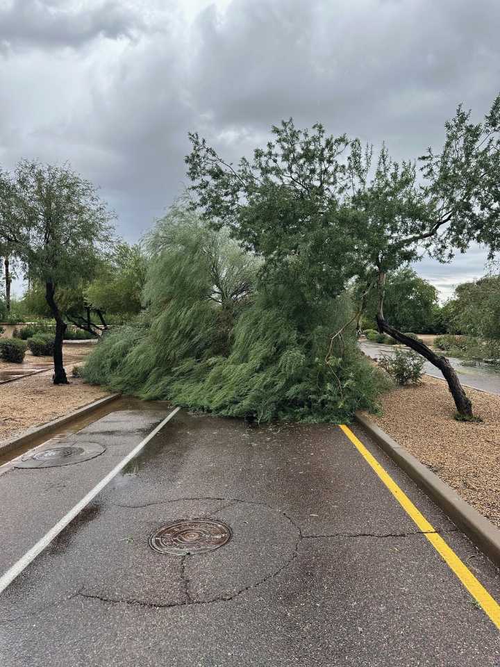 Maricopa County issues a state of local emergency following Tempe storm