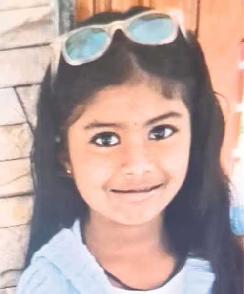 Puttur tragedy: Second-grade girl dies after honeybee attack; cousin. rescuer hospitalised