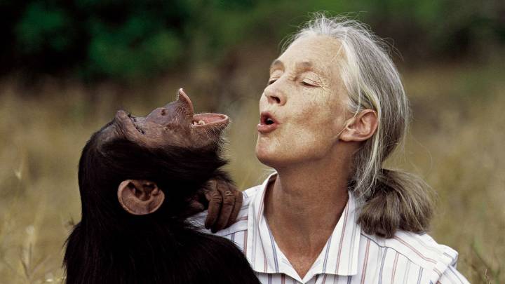 Muere la primatóloga británica Jane Goodall a los 91 años