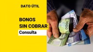 ¿Tienes bonos sin cobrar? Consulta con tu RUT y conoce si tienes pagos no reclamados