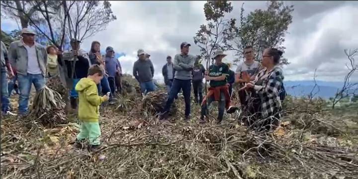 Denuncian la tala de más de 500 árboles y frailejones; comunidad exige investigación por pérdida ambiental: “La Serranía de Juaica no se toca”