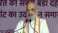 Dairy Plays Crucial Role In Rural Economy: Amit Shah