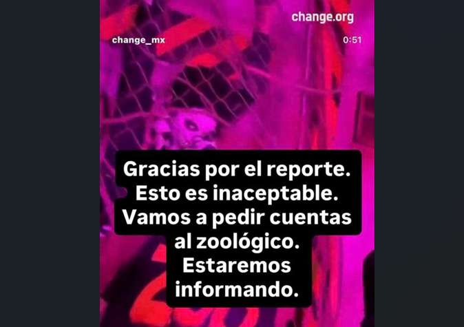 Tras petición en Change.org, Profepa investigará posible maltrato animal durante Halloween en el Zoo