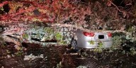 Driver hits fallen tree on Route 44 in East Putnam