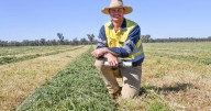 The paddock reset: power your system with legumes