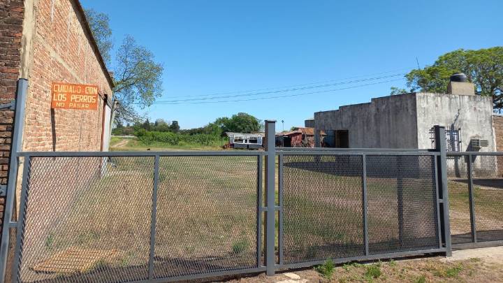 Monte Vera: un hombre murió tras ser atacado por un enjambre de abejas en su vivienda rural