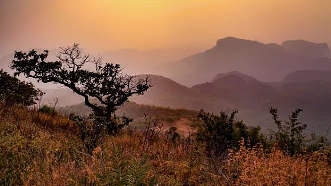 Madhya Pradesh October 25 2025, Weather Update: Sunny Days, Breezy Nights; Light Showers Likely In Indore, Bhopal, Jabalpur & More