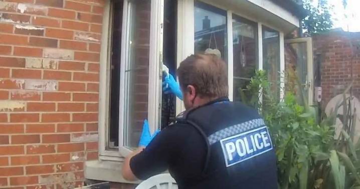 XL Bully dog mauls man's face in horror attack in friend's kitchen