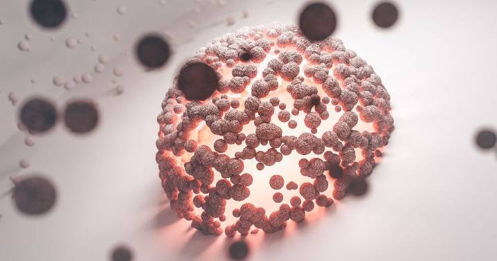 Premio Nobel de Medicina 2025: ¿qué son las células T y cómo evitan que el cuerpo se ataque a sí mismo?