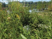 Conservation authority calls on province to amend recycling regulations