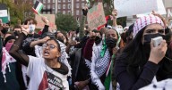 Students for Justice in Palestine Backs Gaza Executions: 'Death to Collaborators'
