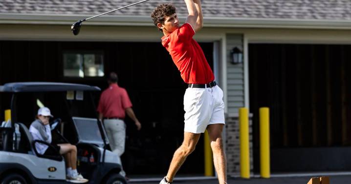 Boys golf: Waiting game pays off for Lincoln-Way Central in Class 3A Lockport Sectional – Shaw Local