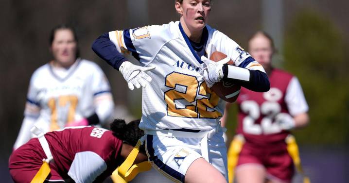 NFL to launch professional flag football leagues ahead of 2028 Los Angeles Olympics