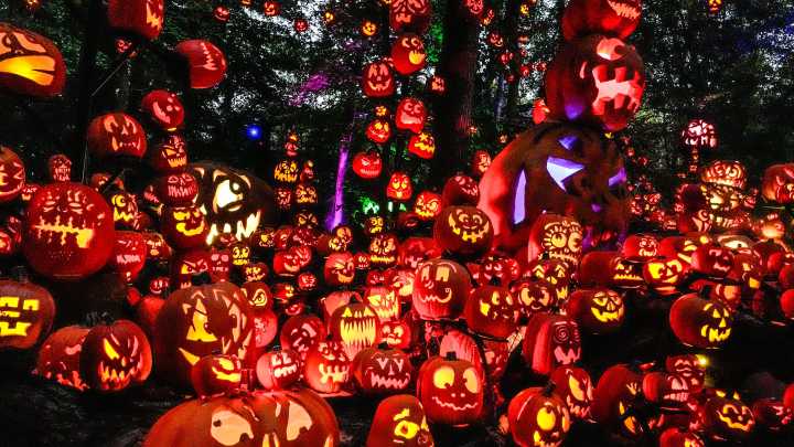 See Louisville's Jack O'Lantern Spectacular 2025 and through the years