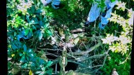 Así es el lugar donde encontraron muerta a Daiana Mendieta