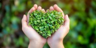Día Mundial de la Protección de la Naturaleza: 10 destinos líderes en turismo sustentable
