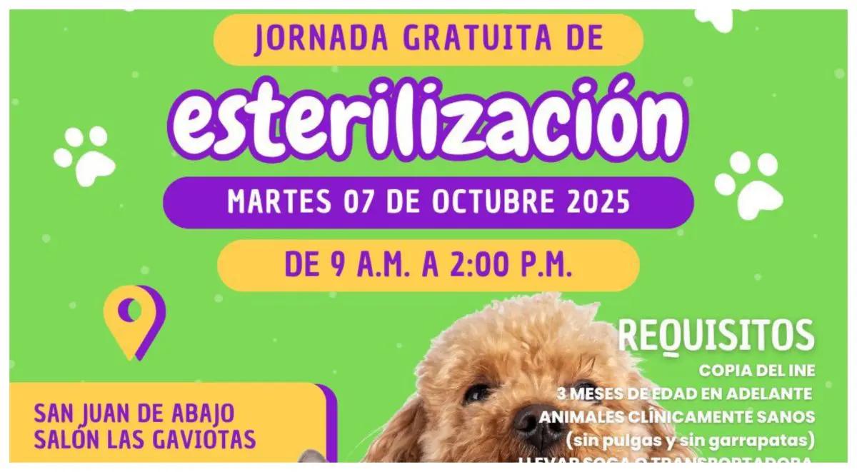 Este martes habrá jornada gratuita de esterilización en San Juan de Abajo, Bahía de Banderas