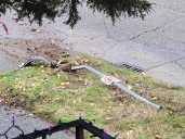 West Seattle Blog… | WEST SEATTLE CRIME WATCH: Another car rolled downhill west of The Junction