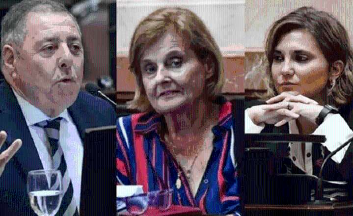 Los senadores Cora y Olalla votaron contra los vetos de Milei y De Angeli se abstuvo