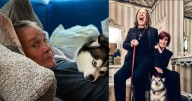 Muere el perro de Ozzy Osbourne a casi tres meses de su partida