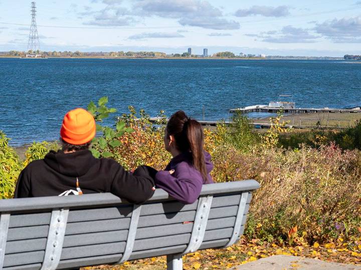 Montreal weather: Daytime highs in the teens, turkey temps remain at 350 F