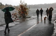 Gusts up to 77 mph knock out power for 118K around Western WA