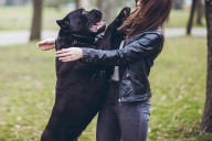 Man Refuses to Cover His In-Law’s Bracelet Repair After His Dog Jumped on Her