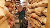 Colombia exportó más de 53 millones de kilos de cereales, leguminosas y soya en el primer semestre de 2025
