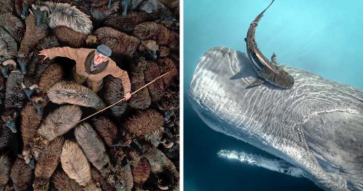 29 Best Drone Photos Of 2024, According To The Siena Awards