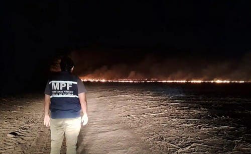 Más de 100 hectáreas arrasadas por un incendio en La Ramada