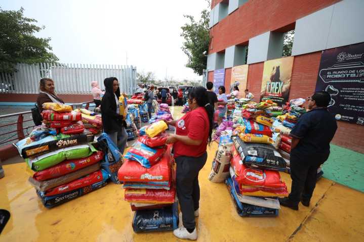 A pesar de mal tiempo, recolectan 5 mil 700 kilos de alimento para refugios de animales