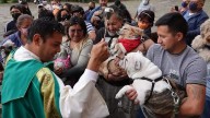 ¿Por qué millones de personas llevan a sus mascotas a la iglesia cada 4 de octubre?