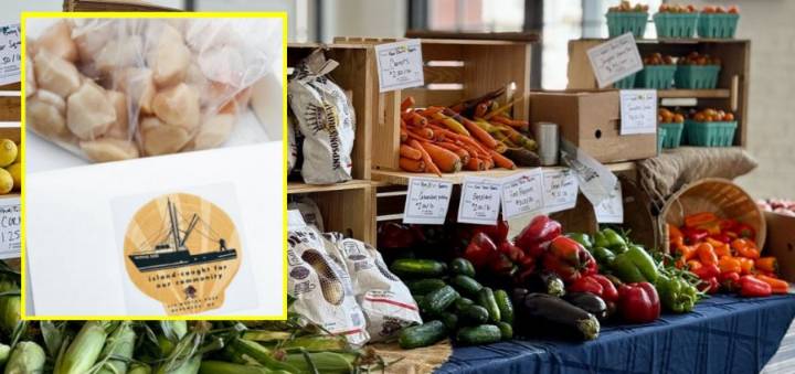 $1.8 million awarded to New Bedford, Dartmouth, Fairhaven food security projects, fishing operations