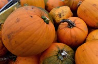 Halloween, Trick or Treat events in Glenview and Northbrook