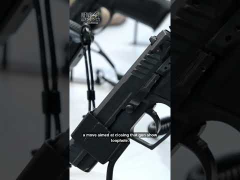 Searching 4 Solutions - The Crime Crisis: Gun law loophole