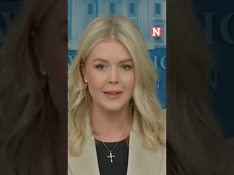 Karoline Leavitt Says Shutdown Layoffs 'Restore Fiscal Sanity'