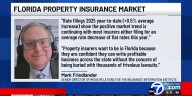 Mark Friedlander Insurance Information Institute