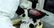 Se buscan voluntarios para estudiar cómo afectan los cambios hormonales a la salud cardiovascular femenina