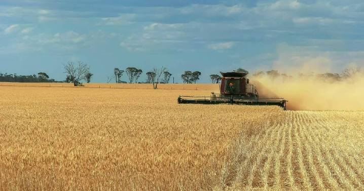 Harvesting shares for a substantial loss after EGM 
