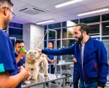 Bukele de El Salvador cambia el puño de hierro por la palma abierta en una nueva cruzada: salvar a los animales callejeros