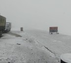 Kashmir’s Higher Reaches Receive Fresh Snowfall
