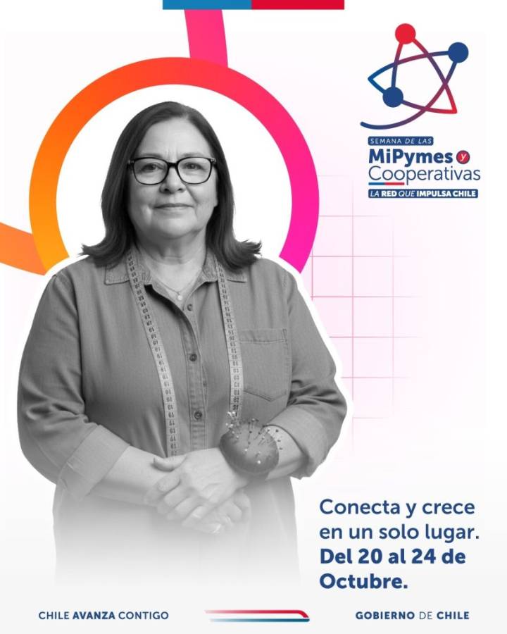 “La red que impulsa Chile”: Seremi de Economía encabeza actividades de la Semana de las Mipymes y Cooperativas en Los Lagos