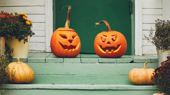 Here's what not to do with your pumpkin after Halloween