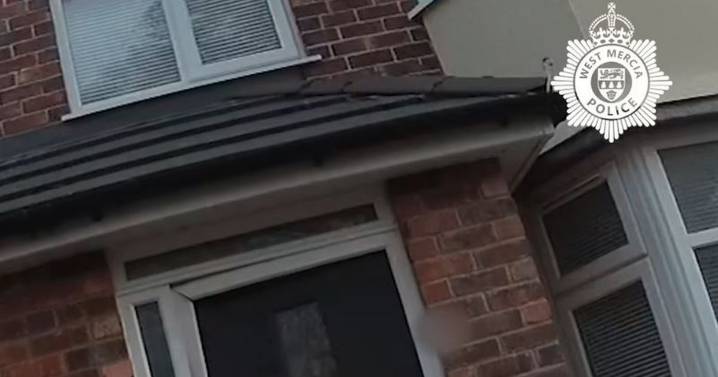 Moment police raid £150k cannabis farm as plants 'to be destroyed'